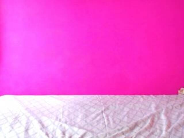 Capturi de ecran de difuzare ALEJAEBONY