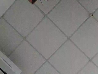 Chat video erotic AlexLove68