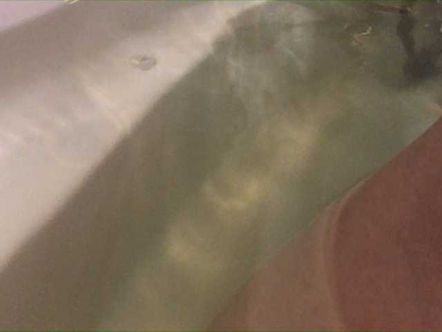 Capturi de ecran de difuzare Alianakiss