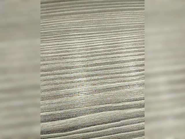 Capturi de ecran de difuzare alysya111222