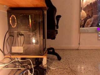 Chat video erotic amina-west