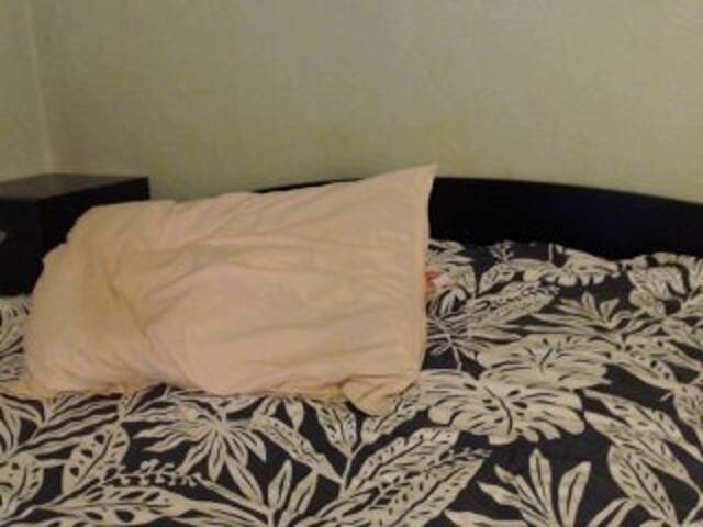 Capturi de ecran de difuzare Alissia_Kiss