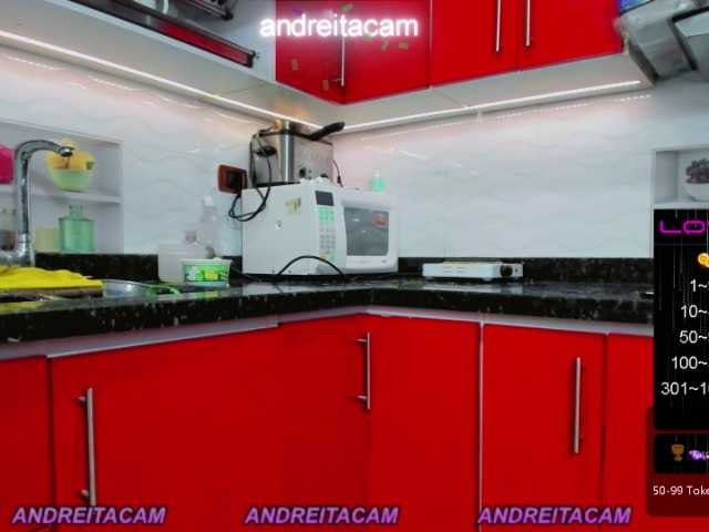 Capturi de ecran de difuzare Andreitacam