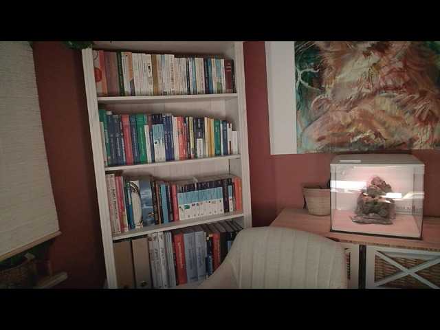 Capturi de ecran de difuzare AntoniaPur