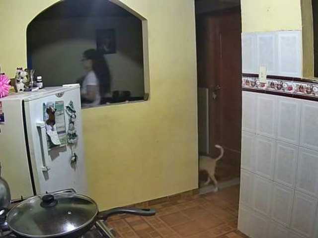 Capturi de ecran de difuzare anyqueen