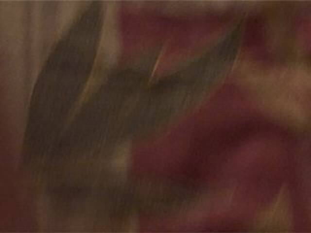 Capturi de ecran de difuzare AshaPM