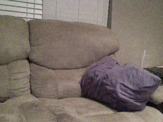 Capturi de ecran de difuzare AvalonAshley