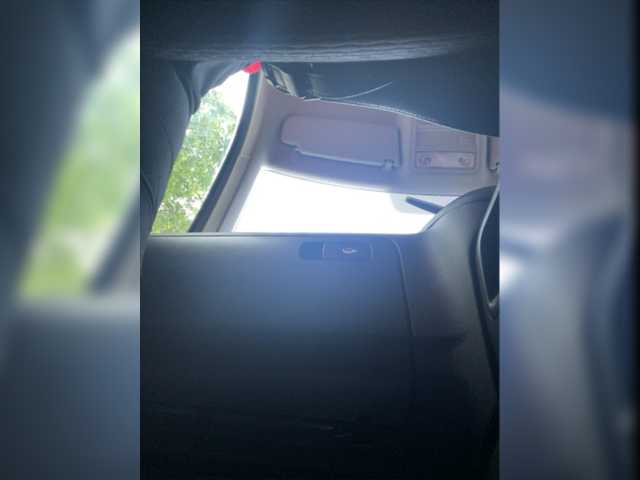 Capturi de ecran de difuzare BC-SwedishFamily