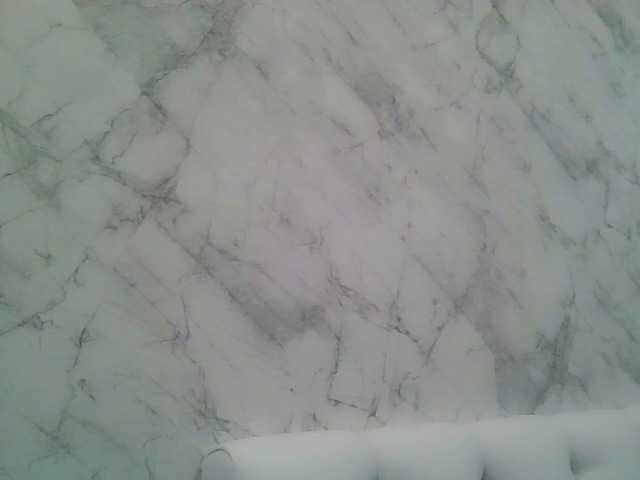 Capturi de ecran de difuzare BonnieExcite