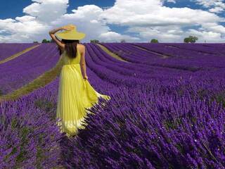 Chat video erotic CaelyWood