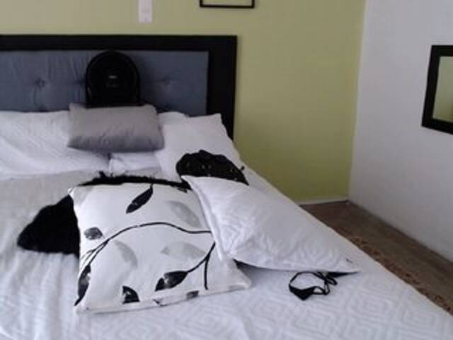 Capturi de ecran de difuzare CELESTESPICE