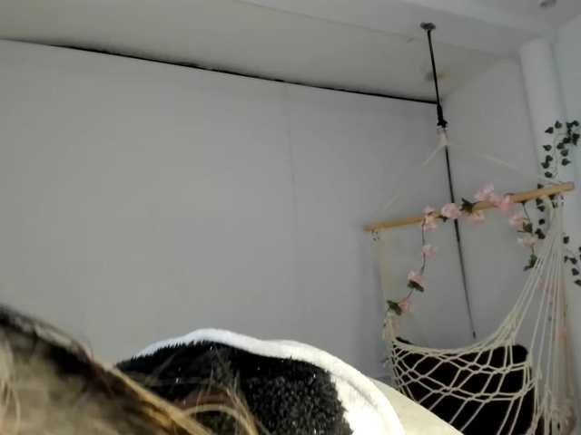 Capturi de ecran de difuzare Charlotte-mwc