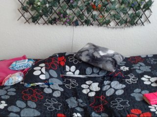 Capturi de ecran de difuzare CherryJackson