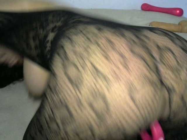 Capturi de ecran de difuzare COLORFULPUSSY