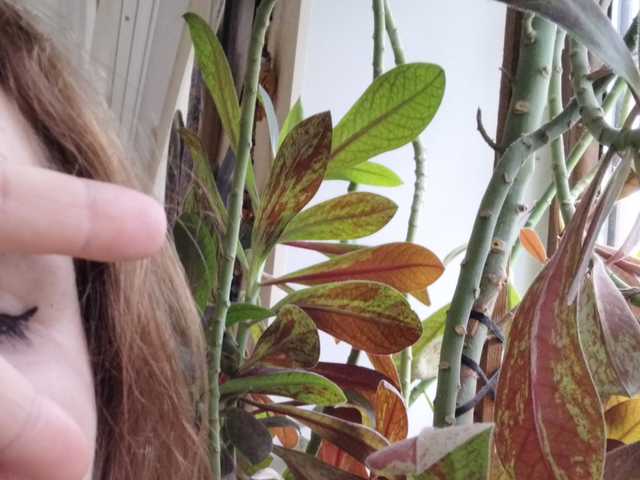 Fotografie a profilului Crazycouple8