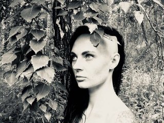 Fotografie de profil DarkParadice-