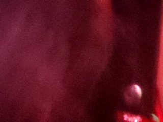 Chat video erotic DiVona