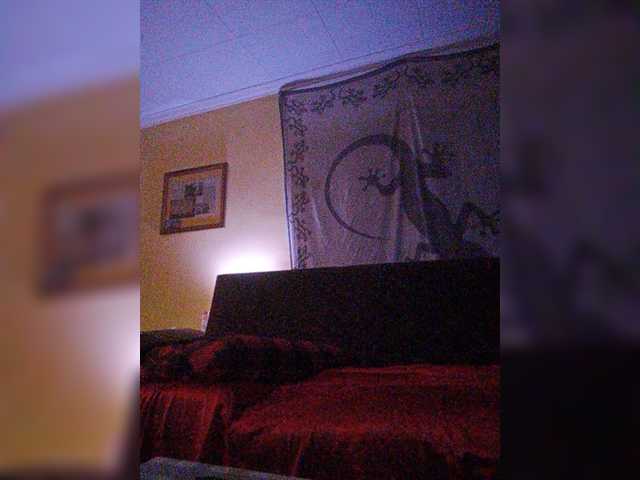 Capturi de ecran de difuzare Doggysx