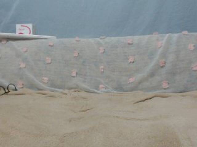 Capturi de ecran de difuzare DonnaWildJoyy