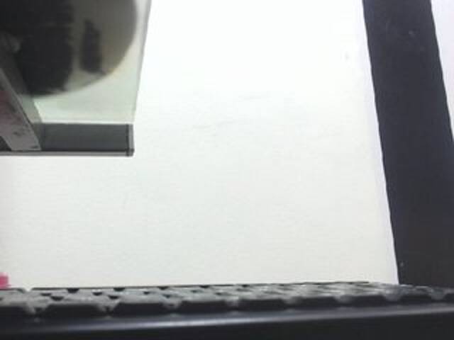 Capturi de ecran de difuzare Dulceik