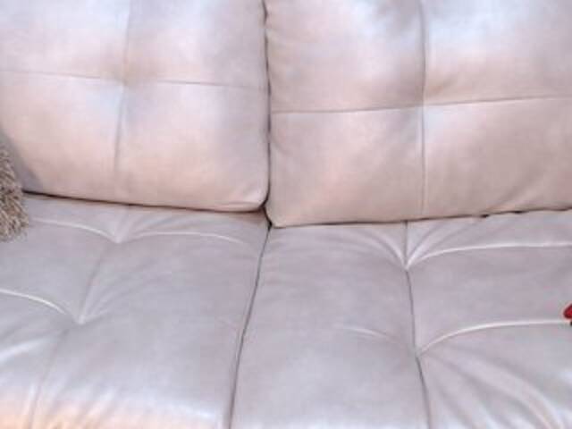 Capturi de ecran de difuzare ElaBecker