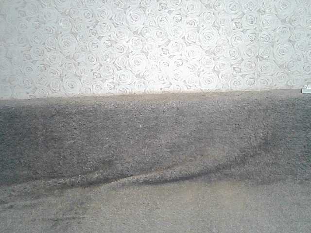 Capturi de ecran de difuzare ElegantBlonda