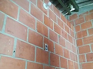 Chat video erotic EmiliAddams