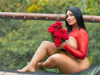 Chat video erotic Ericajohnson12