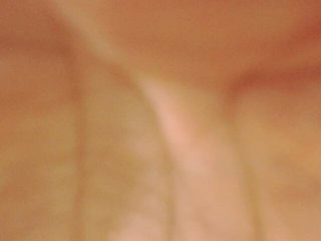 Capturi de ecran de difuzare evabluexx