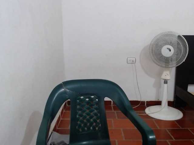 Capturi de ecran de difuzare evi2020