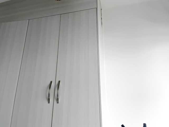 Capturi de ecran de difuzare fitnessebony