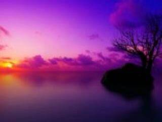 Chat video erotic florabella