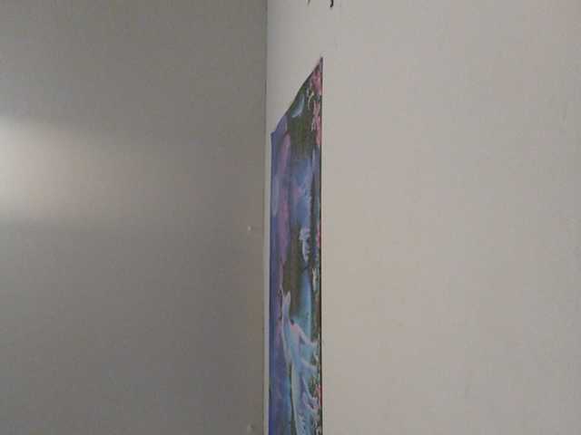 Capturi de ecran de difuzare GlazinD