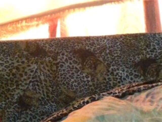 Capturi de ecran de difuzare Grappa01