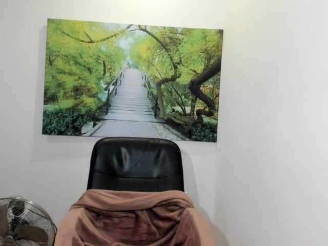 Capturi de ecran de difuzare havanaginger1