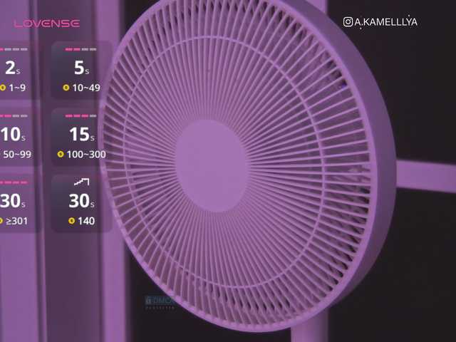 Capturi de ecran de difuzare Kamelllya