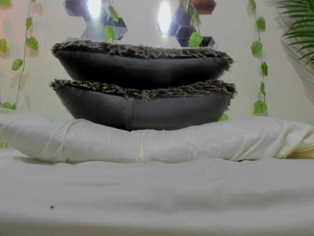 Capturi de ecran de difuzare Kitty-small