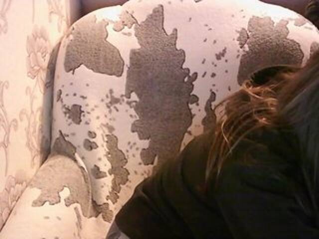 Capturi de ecran de difuzare KOBRA-X