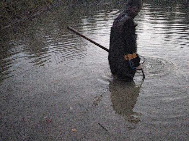 Capturi de ecran de difuzare lanalanina