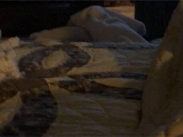 Capturi de ecran de difuzare Littleshorty