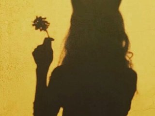 Fotografie a profilului Fiery_Phoenix