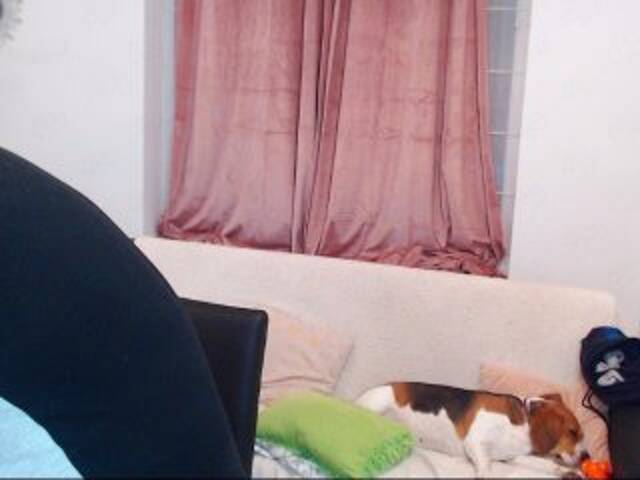 Capturi de ecran de difuzare MaxGACouple