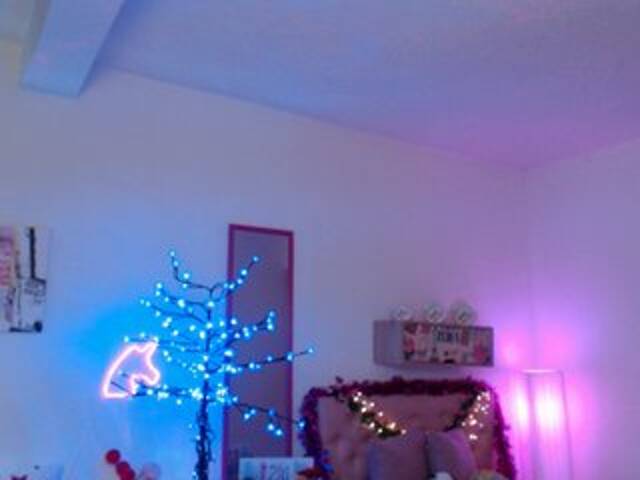 Capturi de ecran de difuzare Miss-Bonnie