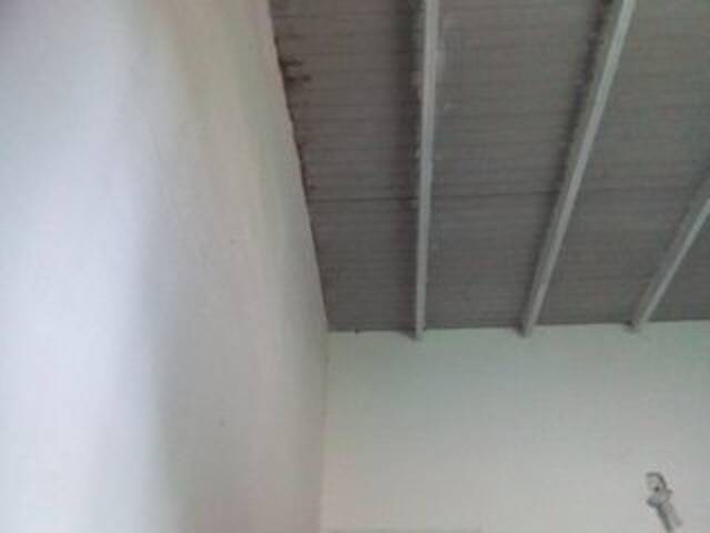 Capturi de ecran de difuzare misscute