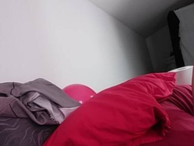 Capturi de ecran de difuzare MisViolaViola