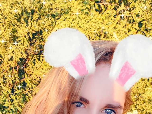 Fotografie a profilului Nilkibunnyxo