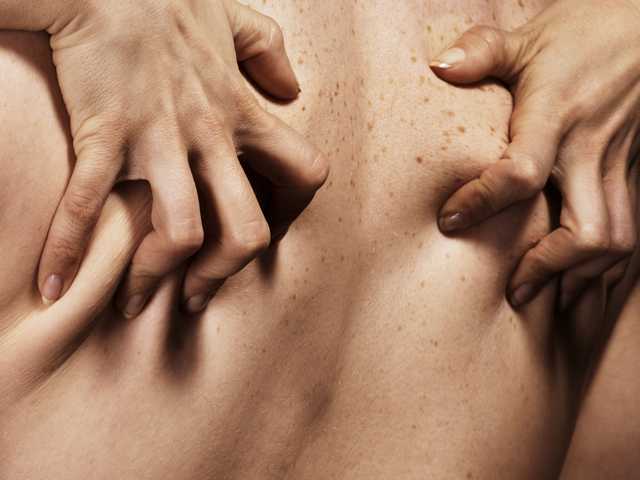 Fotografie a profilului Pineapple-Sex
