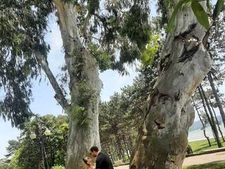 Chat video erotic PUPI-DEL-REY