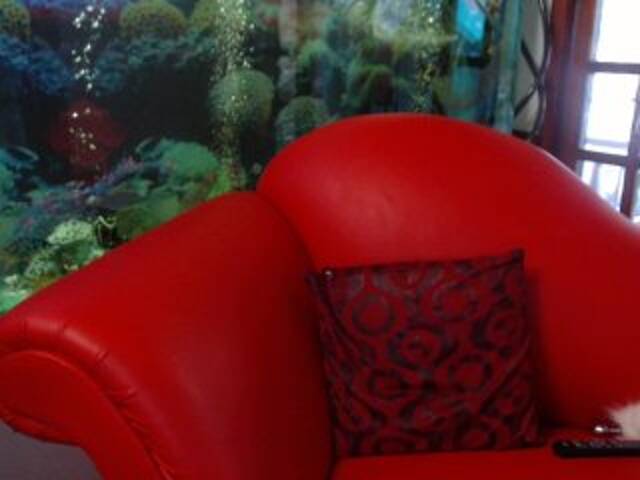 Capturi de ecran de difuzare RoxanneFox