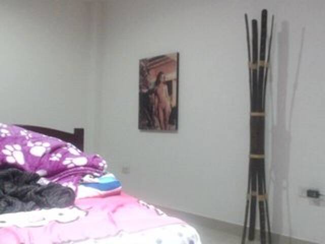 Capturi de ecran de difuzare rubisecret